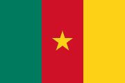 The flag for Cameroon