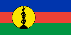 The flag for New Caledonia